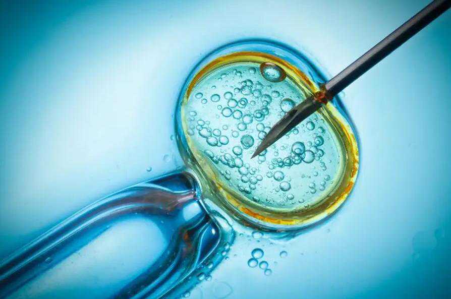 武汉代怀生儿子费用 武汉哪家正规生殖医院可以做供卵试管婴儿? ‘6周孕囊大