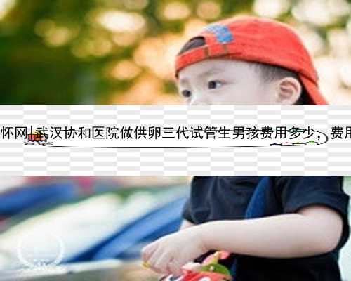 武汉正规代怀网|武汉协和医院做供卵三代试管生男孩费用多少，费用10万够不